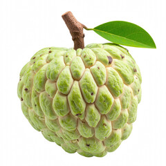 Obraz premium A glorious green with a leaf on top isolated on a transparent background for fresh produce and health-oriented visuals, Transparent background PNG