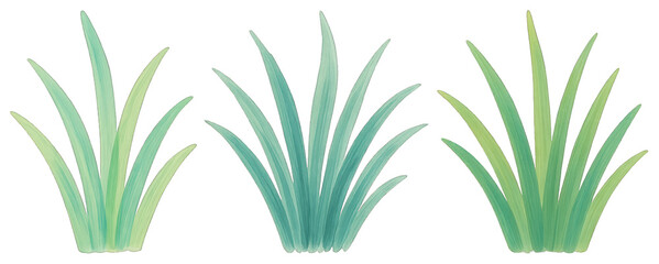 PNG Vibrant abstract grass illustration, element set on transparent background