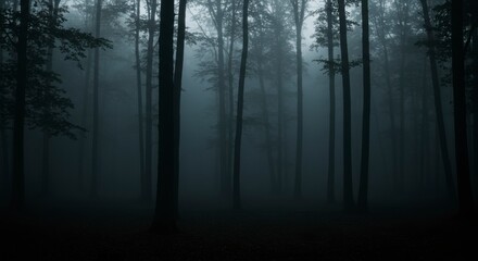 Naklejka premium Misty forest, dark and mysterious