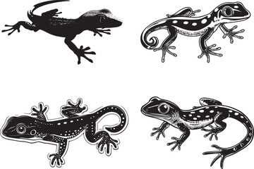 Crested Gecko SVG