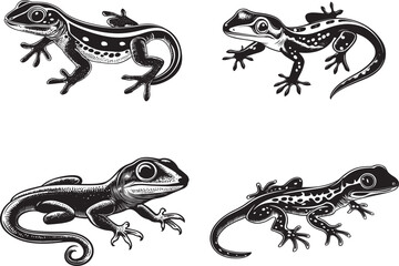 Naklejka premium Crested Gecko SVG