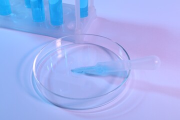 Petri dish with pipette and test tubes on light background, closeup