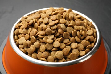 Dry pet food in feeding bowl on dark background, closeup