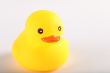 One cute rubber duck on white background, closeup. Space for text