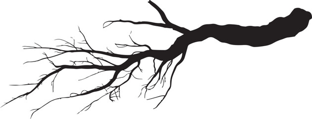 Silhouette of a Large Twisted Tree Branch