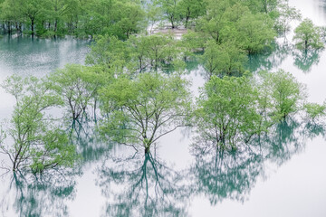 水辺