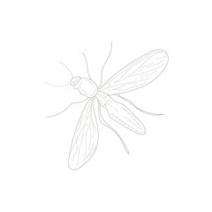 A black and white drawing of a bug with yellow wings. The bug has a black head and is drawn in a simple, minimalist style. The drawing conveys a sense of calm and serenity