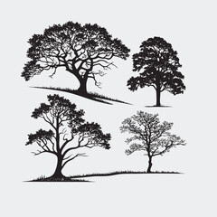 Obraz premium Collection of Four Silhouette Trees in Black and White 