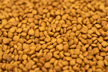 Food for animals background. Dry cat and dog food texture, pattern. Pet meal background close up. Dry food for pet dogs and cats. Dried pet food top view. Granules of good nutrition for dogs and cats.