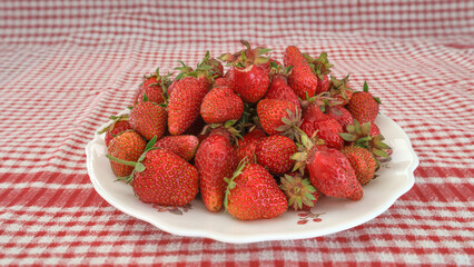 fraises du potager présentées sur assiette