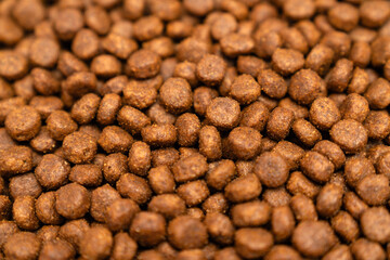 Food for animals background. Dry cat and dog food texture, pattern. Pet meal background close up. Dry food for pet dogs and cats. Dried pet food top view. Granules of good nutrition for dogs and cats.
