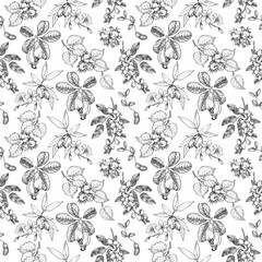 Nuts seamless vector pattern hand drawn with ink. Ornament of graphic elements with branches, fruits and leaves of cashew, pistachio, hazelnut and peanut. Template for label and textile design