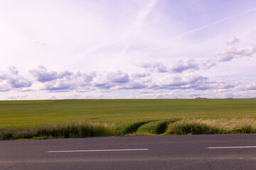 Asphalt road in front of wide green crop field under cloudy sky with hills on the horizon. Countryside landscape photography. Agricultural region and rural travel concept. Design for banner, postcard