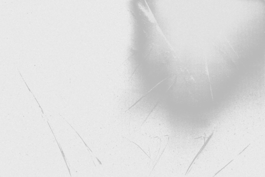 light leak overlay effect with scratch dust and light leaks,retro grain noisy film distressed texture light leak flare on black background,retro film overlay
