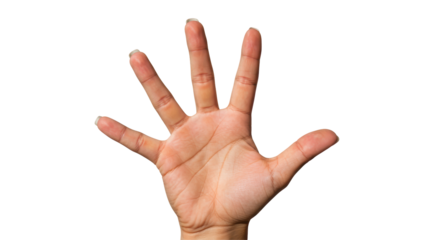 Isolated Hand showing five fingers