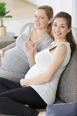 Obraz premium 2 pregnant women on a sofa