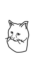 cat sad reaction illustration line art hand drawn meme