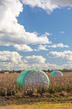 Dalby Cotton Module in the field on a sunny day with clouds