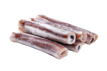 pile of fresh squid tubes isolated on white background