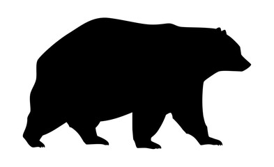 Black silhouette of walking bear on white background. Clipart image isolated on background.