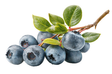 PNG Fresh blueberries and green leaves against black background