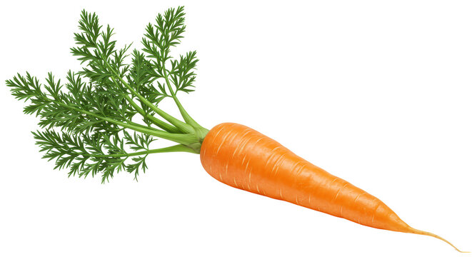 Isolated Carrot