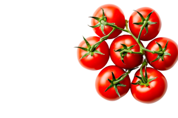 Vine ripe red tomatoes cluster isolated on transparent PNG