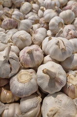 Garlic, garlic bulb, spices, food, condiments