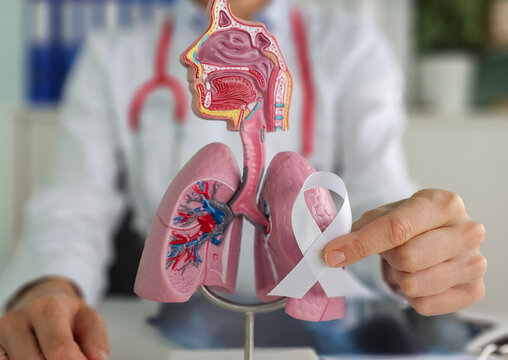 Medical professional holds anatomical model lungs alongside awareness ribbon to promote health education and lung cancer awareness
