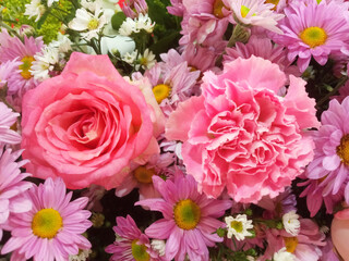 Top view, two pink roses flower blossom bloom blurred floral background for design stock photo, The beauty of natural flowers, Floral summer, plants, sunlight