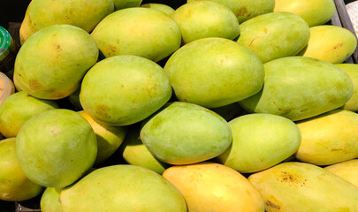 Mango, raw mango, green mango, ripe mango, yellow mango