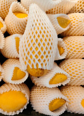 Mango, raw mango, green mango, ripe mango, yellow mango