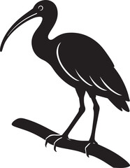 Obraz premium Ibis perched on branch silhouette illustration, Elegant wading bird black and white
