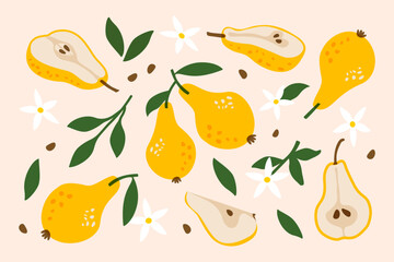 Pear fruits. Fresh summer food, cartoon ripe organic yellow fruit with leaf, natural garden harvest, healthy vegetarian diet product, abstract pear slice with seed. Vector set