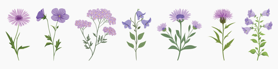 Colorful botanical floral illustrations, vector set