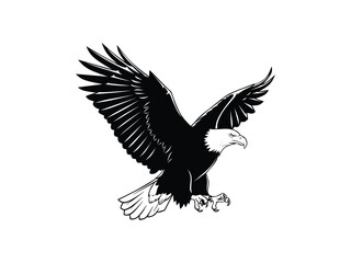 Obraz premium eagle vector illustration isolated with white background 