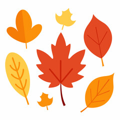 Obraz premium autumn leaves isolated on white