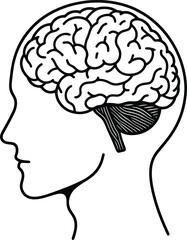 Human brain in a head vector illustration isolated on a white background