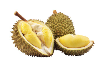 Obraz premium Fresh aromatic durian fruit isolated on white background