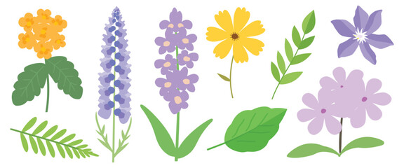 Colorful floral vector illustration set