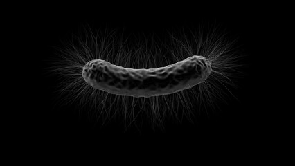 Micrograph Overlay Background of Bacterium Flagella