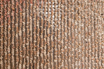 Close-up of natural seashell curtain texture made of tiny spiral shells in vertical rows