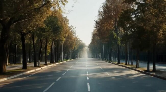 Autumnal Avenue: Long Road Lined with Trees in Warm Fall Colors