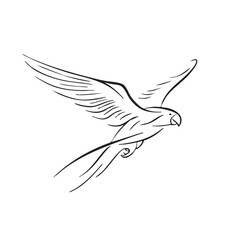 Obraz premium Elegant parrot in flight for nature inspired designs