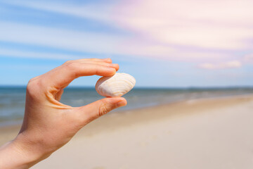 Hand holding a seashell on a bright day at the beach provides a sense of summer vacation and...