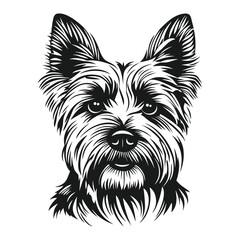 Yorkshire terrier face linear art illustration drawing vector