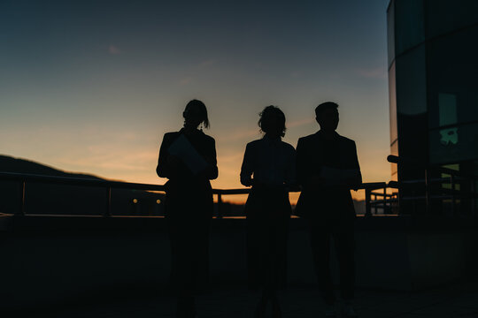 A group of business people stand silhouetted against a vibrant sunset, poised and engaged on a rooftop setting. The image conveys teamwork, collaboration, and a dynamic corporate environment.