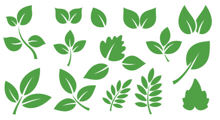 Assortment of green leaves isolated on white background, showcasing various shapes and vein patterns