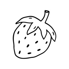 Strawberry isolated on a white background. Vector hand-drawn illustration in outline style. Perfect for cards, decorations, logo, menu, recipes, various designs.