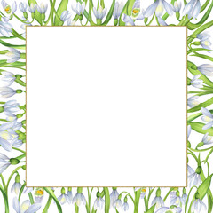 Obraz premium Tiny golden square frame with white snowdrops flowers and green leaves. Springtime square frame of flowers. Spring flowers clipart. Hand-drawn watercolor illustration. For postcards, invitations
